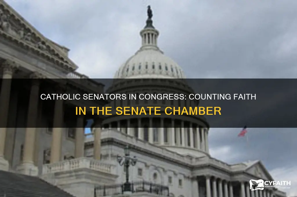 how many catholic senators