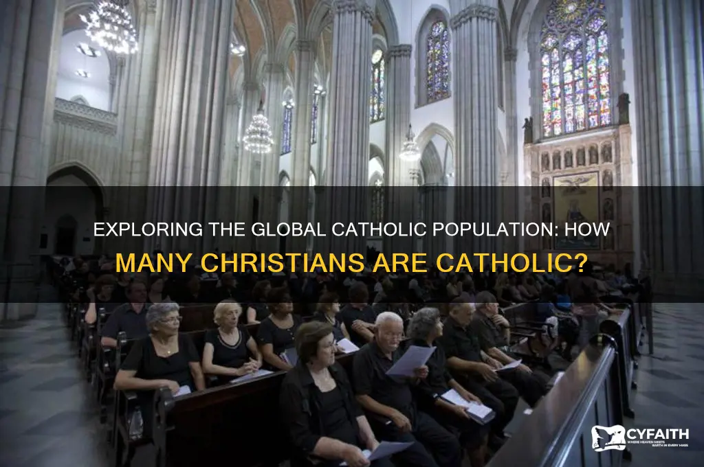 how many catholic tham christians