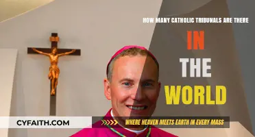 Exploring the Global Reach of Catholic Tribunals Worldwide