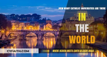 Exploring the Global Presence of Catholic Universities Worldwide