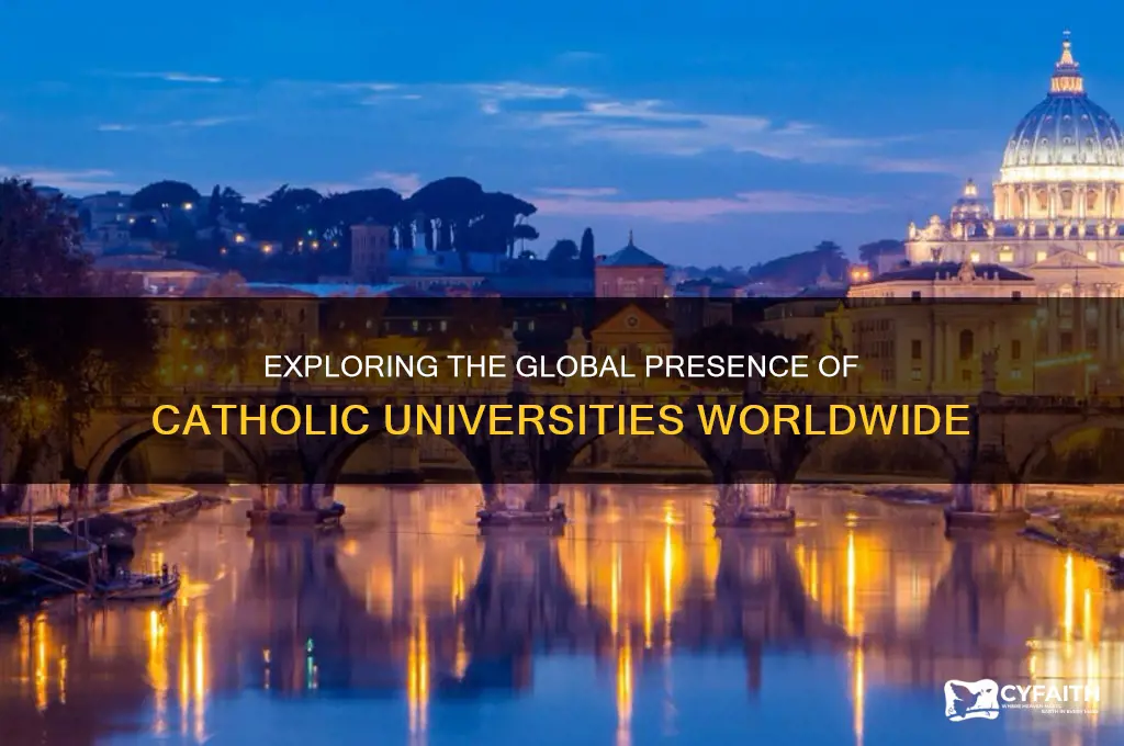 how many catholic universities are there in the world