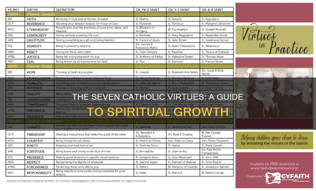 how many catholic virtues are there