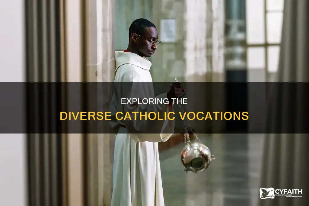 how many catholic vocations are there