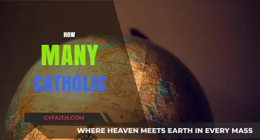 Exploring the Global Catholic Population: How Many Catholics Exist Today?