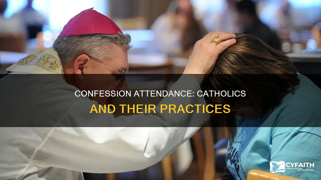 how many catholics actually go to cnfession