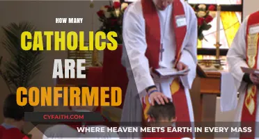 Understanding Catholic Confirmation: Global Statistics and Trends Revealed