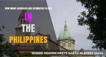Exploring the Estimated Catholic Population in the Philippines Today