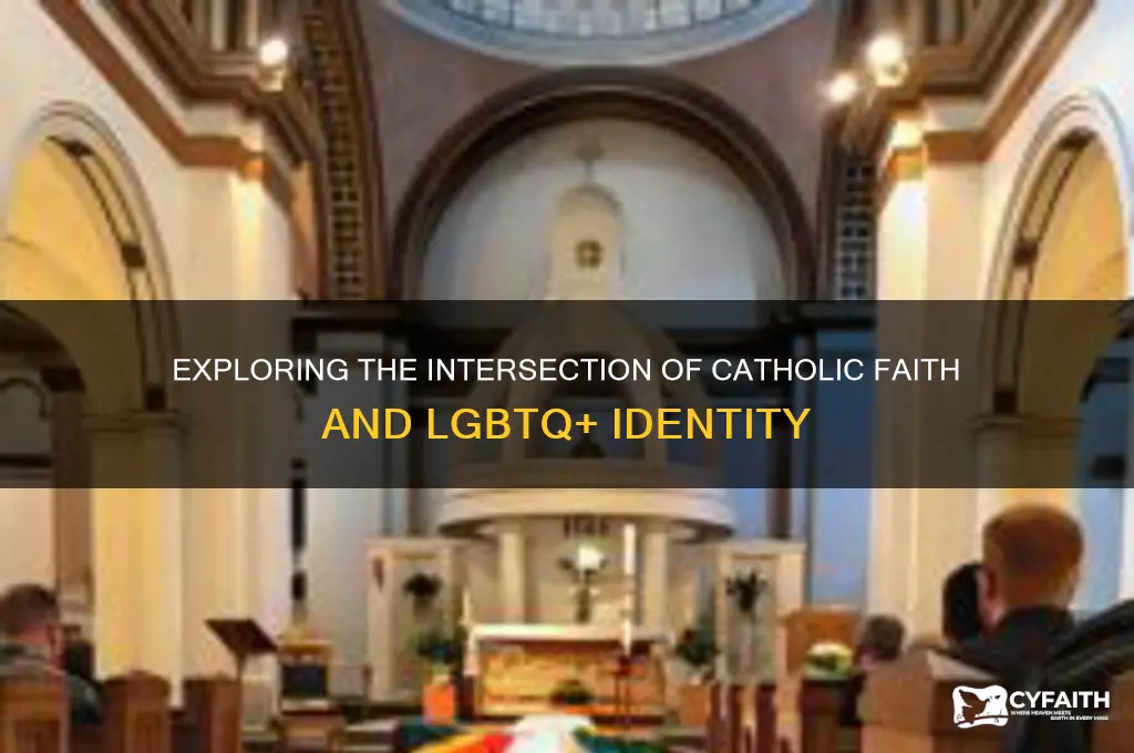 how many catholics are gay
