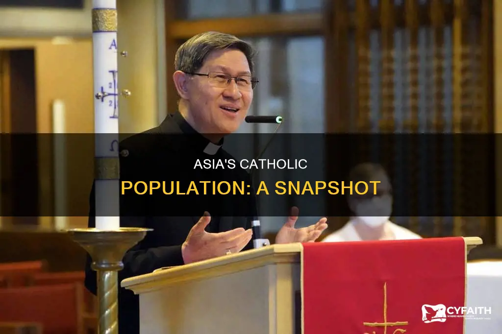how many catholics are in asia