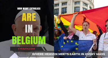Catholics in Belgium: A Significant Number
