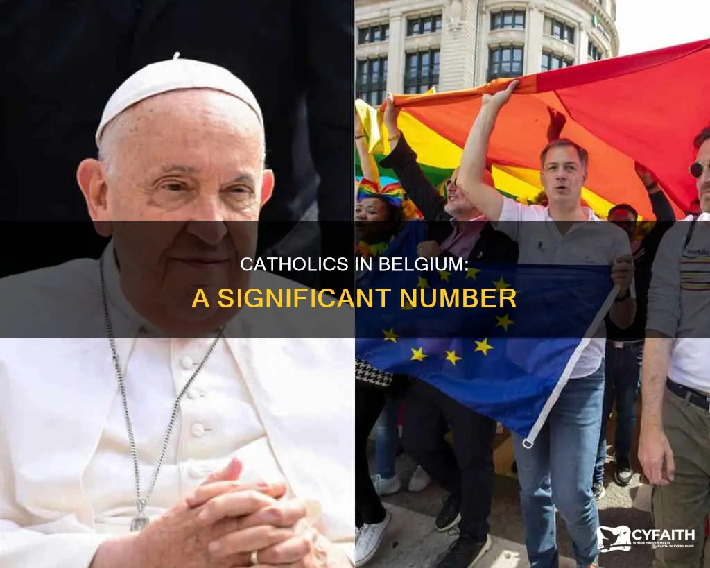 how many catholics are in belgium
