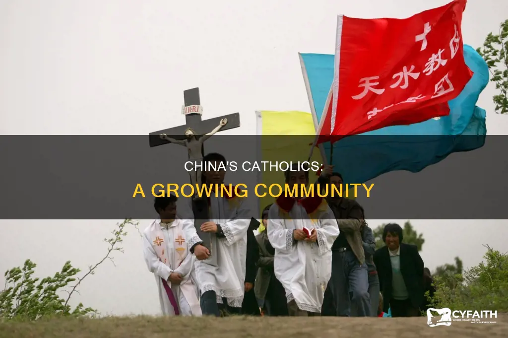 how many catholics are in china