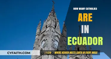 Ecuador's Catholic Population: A Comprehensive Overview
