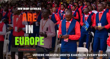 Europe's Catholic Population: A Comprehensive Overview