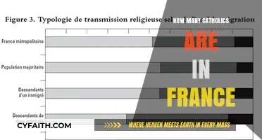France's Catholic Population: How Large?