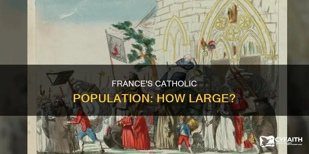 how many catholics are in france