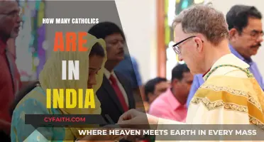 Catholics in India: A Growing Community