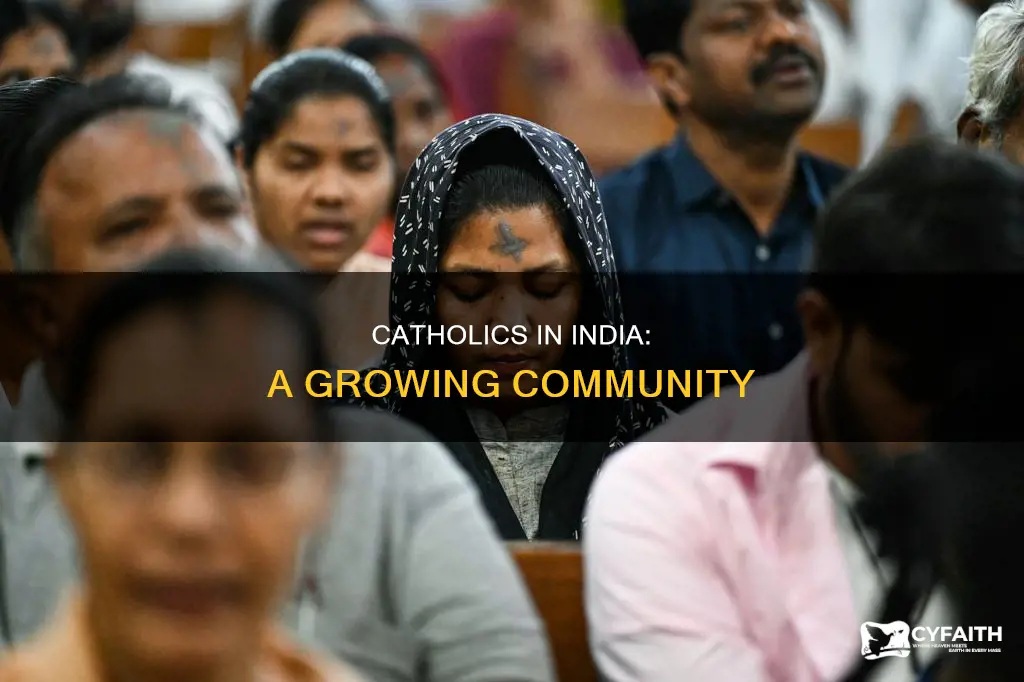 how many catholics are in india