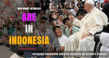 Indonesia's Catholic Population: A Snapshot