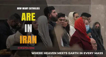 Iran's Catholic Community: How Large?