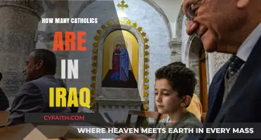 Iraq's Catholic Population: A Community Overview