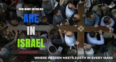 Israel's Catholic Population: How Many?
