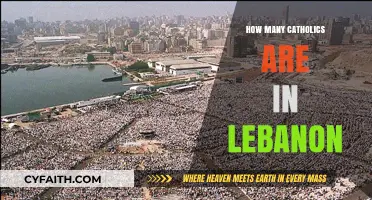 Lebanese Catholics: A Significant Minority