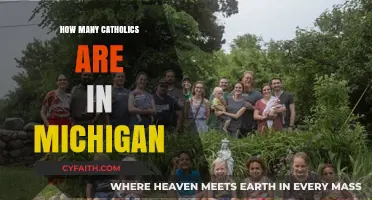Michigan's Catholic Population: How Many?