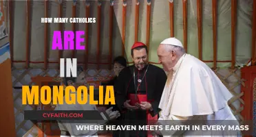 Exploring Catholicism in Mongolia: A Small but Devoted Community