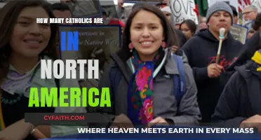Catholics in North America: Population Size and Distribution