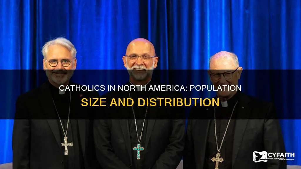 how many catholics are in north america