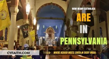 Pennsylvania's Catholic Population: A Comprehensive Overview
