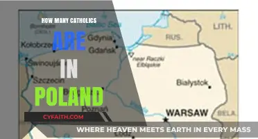 Poland's Catholic Population: A Comprehensive Overview