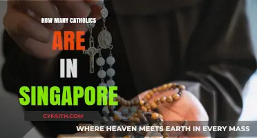 Catholics in Singapore: A Small but Devoted Community