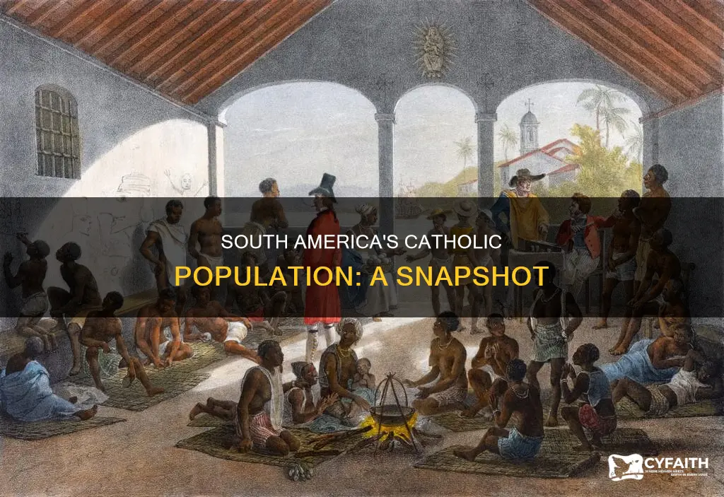 how many catholics are in south america