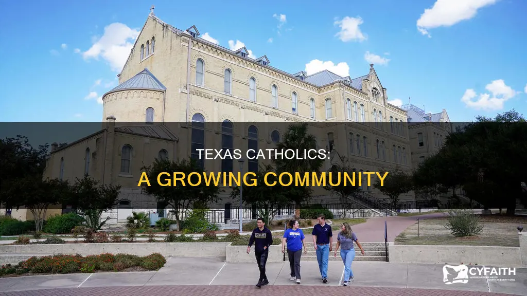 how many catholics are in texas