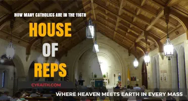 Catholic Representation in the 116th House of Representatives: A Breakdown