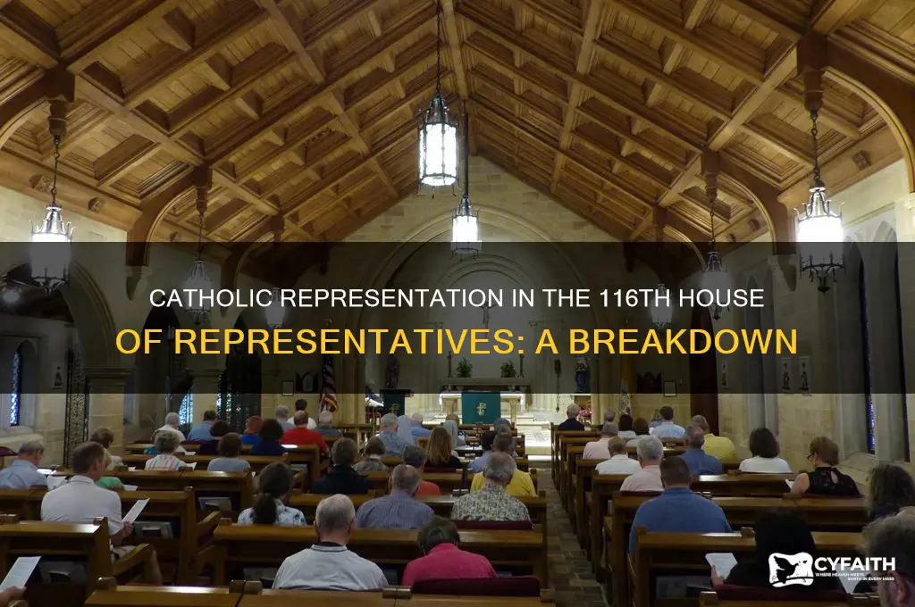 how many catholics are in the 116th house of reps