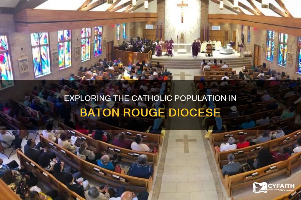 how many catholics are in the diocease of baton rouge