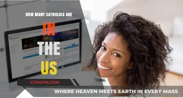 Catholics in the US: A Large and Growing Population