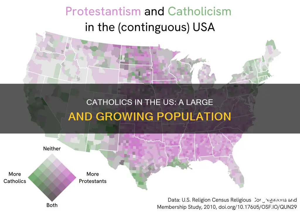 how many catholics are in the us