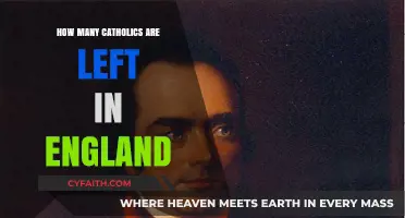 England's Remaining Catholics: A Number's Game