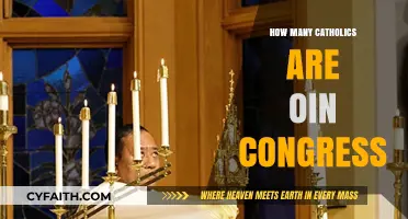 Catholics in Congress: How Many?