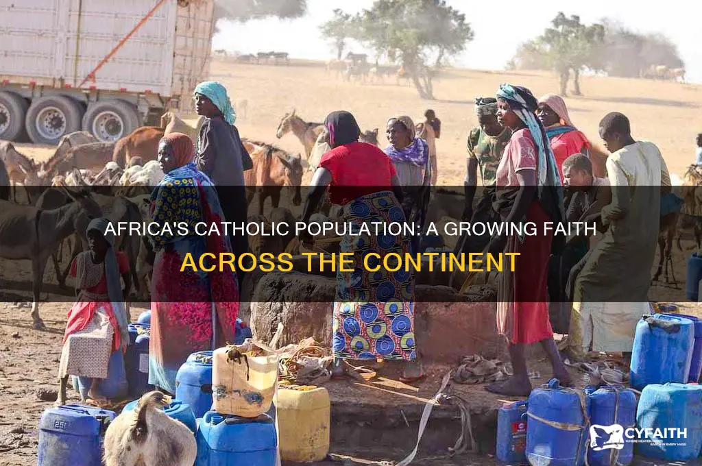 how many catholics are on the continent of africa