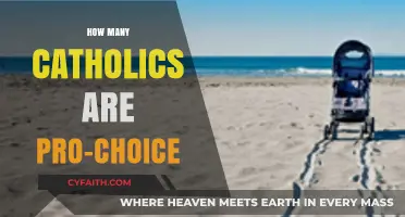 The Catholic Church and Abortion: Exploring Complex Views