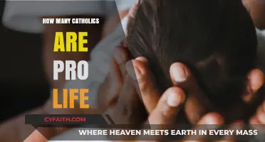 Are Most Catholics Pro-Life?