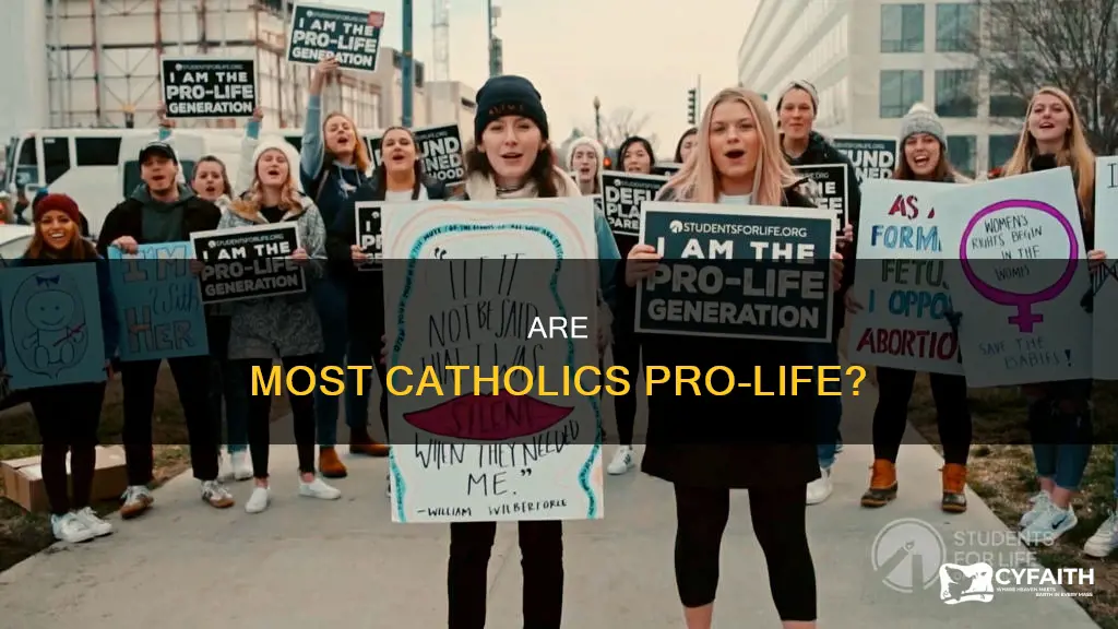 how many catholics are pro life