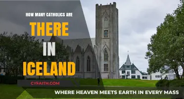Catholicism in Iceland: A Small but Devoted Community