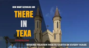 Texas Catholics: A Growing Community