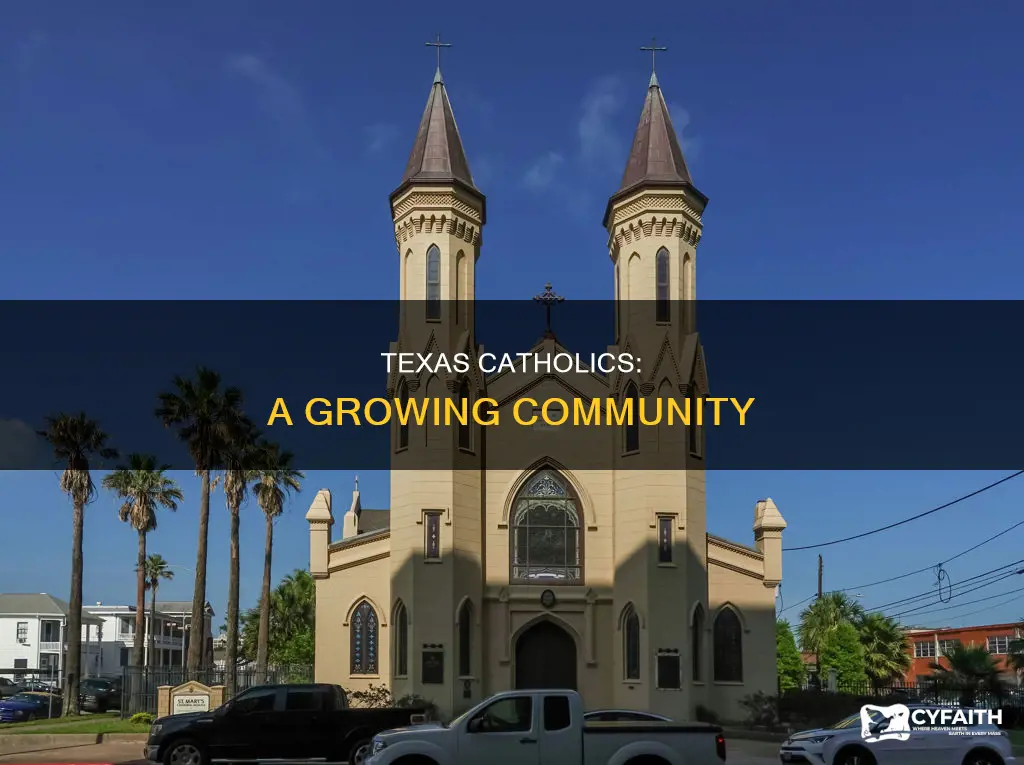 how many catholics are there in texa